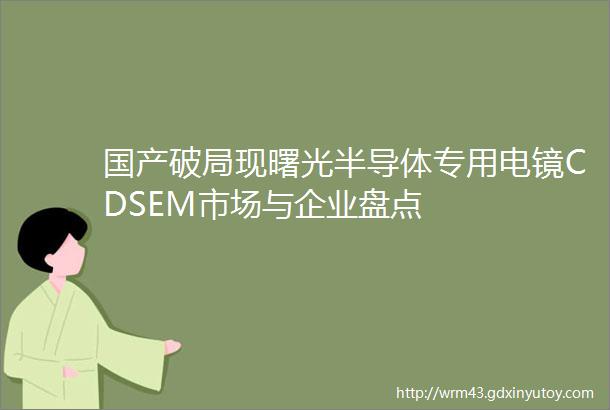 国产破局现曙光半导体专用电镜CDSEM市场与企业盘点